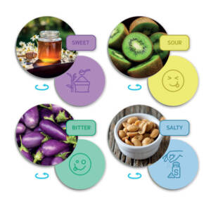 Identifier les goûts et les saveurs